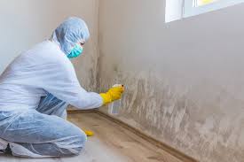 Best Emergency Mold Remediation  in New Paris, OH