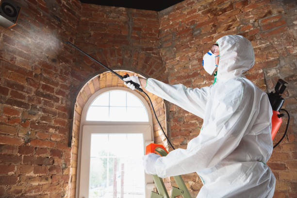 Best Biohazard Mold Removal  in New Paris, OH