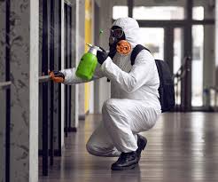 Biohazard Mold Removal in New Paris, OH